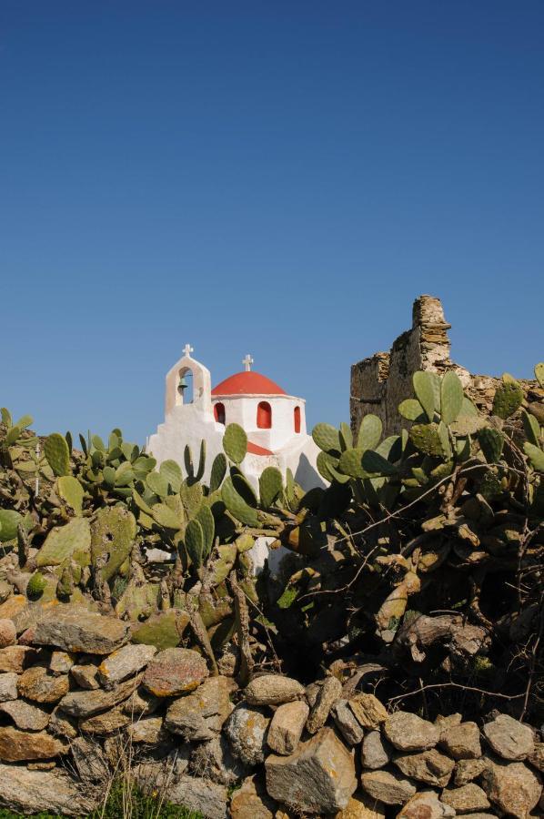 Casa Anna Suites Mykonos Town Eksteriør billede