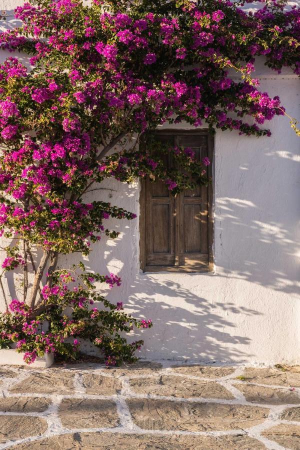 Casa Anna Suites Mykonos Town Eksteriør billede